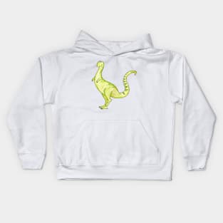 Dino Kids Hoodie